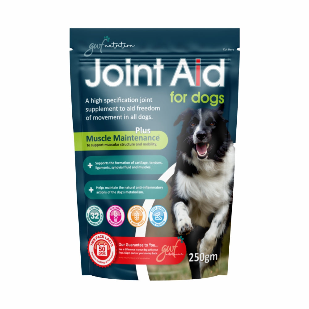 Joint relief 2024 for dogs